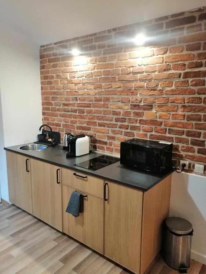 קרקוב Apartament Pod Wawelem מראה חיצוני תמונה