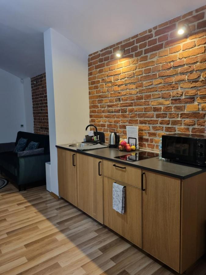 קרקוב Apartament Pod Wawelem מראה חיצוני תמונה